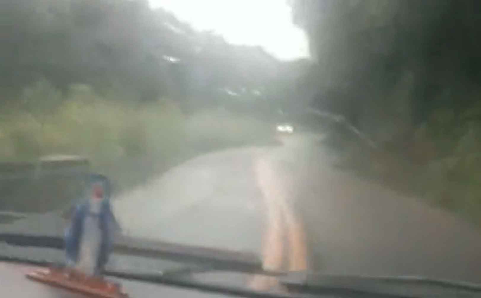 Vídeo: passageira filma queda de carro em barranco no Ceará. Foto: Reprodução Twitter