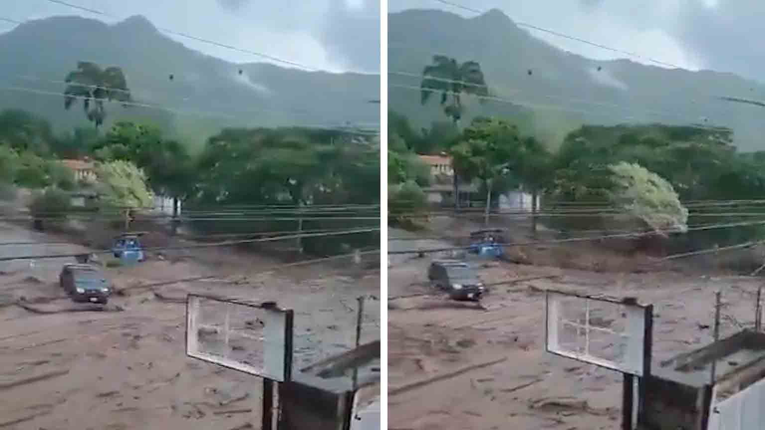 Video: Kraftigt regn sköljer bort träd och bilar på Chiles gator. Bild: Återgivning via Telegram