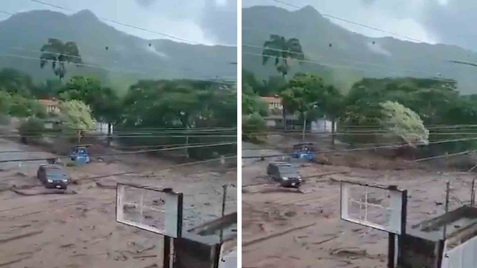 Video: Heftiger Regen spült Bäume und Autos durch die Straßen Chiles. Foto: Telegram Replikation