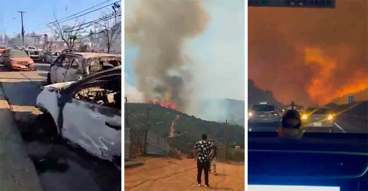 Vidéo : Le Chili traverse le pire incendie de forêt de tous les temps, avec plus de 112 victimes. Reproduction Twitter @Top_Disaster