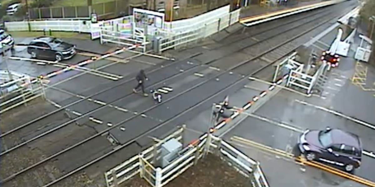 Dog and man narrowly avoided being hit by a train in a terrifying video