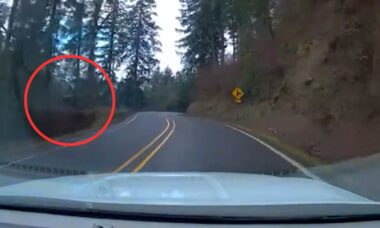 Kierowca zjeżdża z drogi i spada 60 metrów w dół góry. Źródło: Reprodukcja/Dailymotion