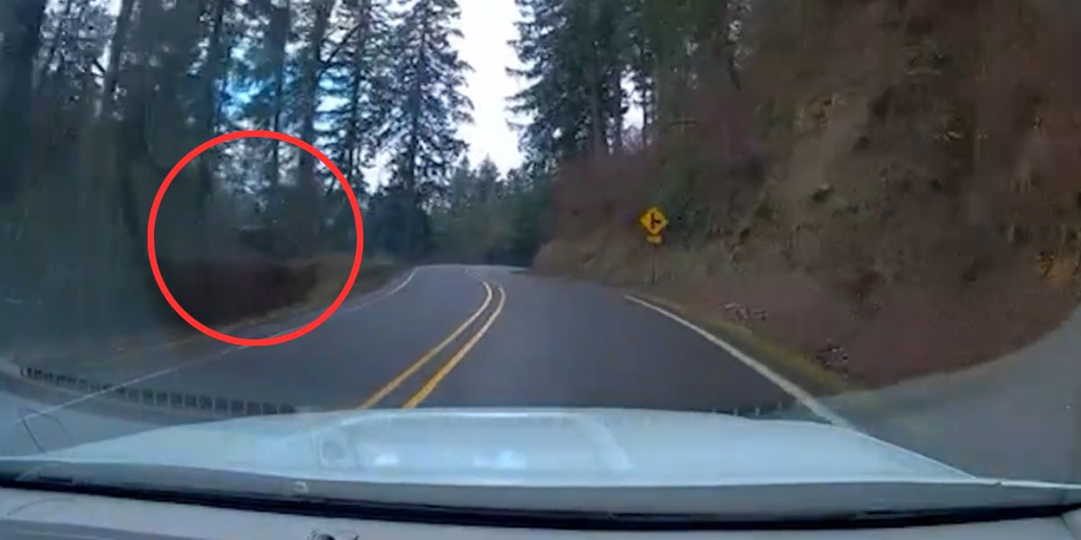 Kierowca zjeżdża z drogi i spada 60 metrów w dół góry. Źródło: Reprodukcja/Dailymotion
