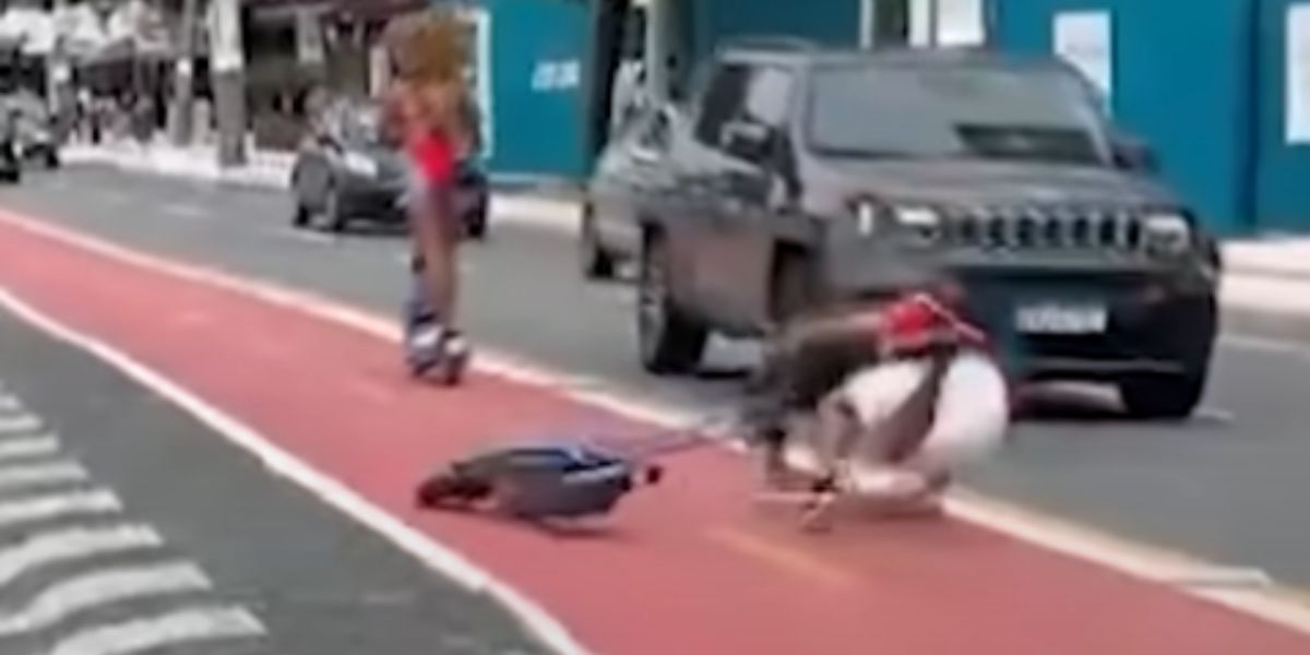 Mężczyzna łamie siedem żeberek po otrzymaniu łokcia na ścieżce rowerowej w Brazylii