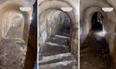 Vídeo: Casal descobre túnel escondido em seu jardim. Fotos e vídeo: Tiktok @bexh5