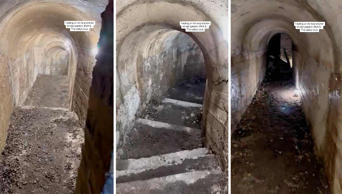 Video: Par upptäcker gömd tunnel i sin trädgård. Bilder och video: Tiktok @bexh5 