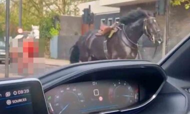 Vídeo: Cavalos cobertos de sangue correm pelas ruas no centro de Londres. Foto e vídeo: Reprodução Twitter @jhopwv