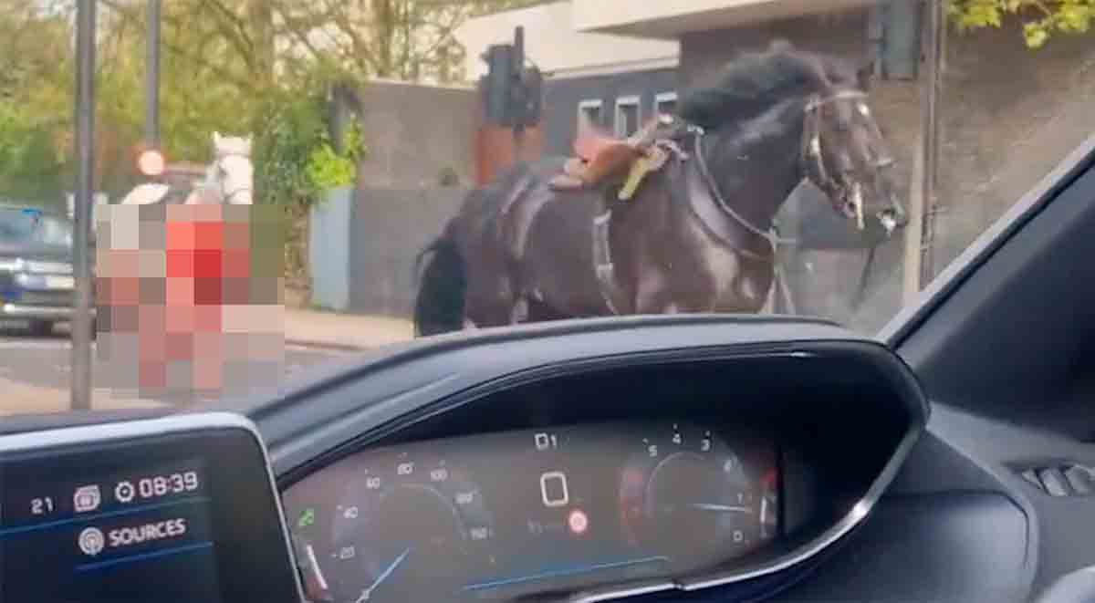 Vídeo: Cavalos cobertos de sangue correm pelas ruas no centro de Londres. Foto e vídeo: Reprodução Twitter @jhopwv