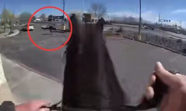 Policial a cavalo persegue ladrão no Novo México em vídeo cheio de ação