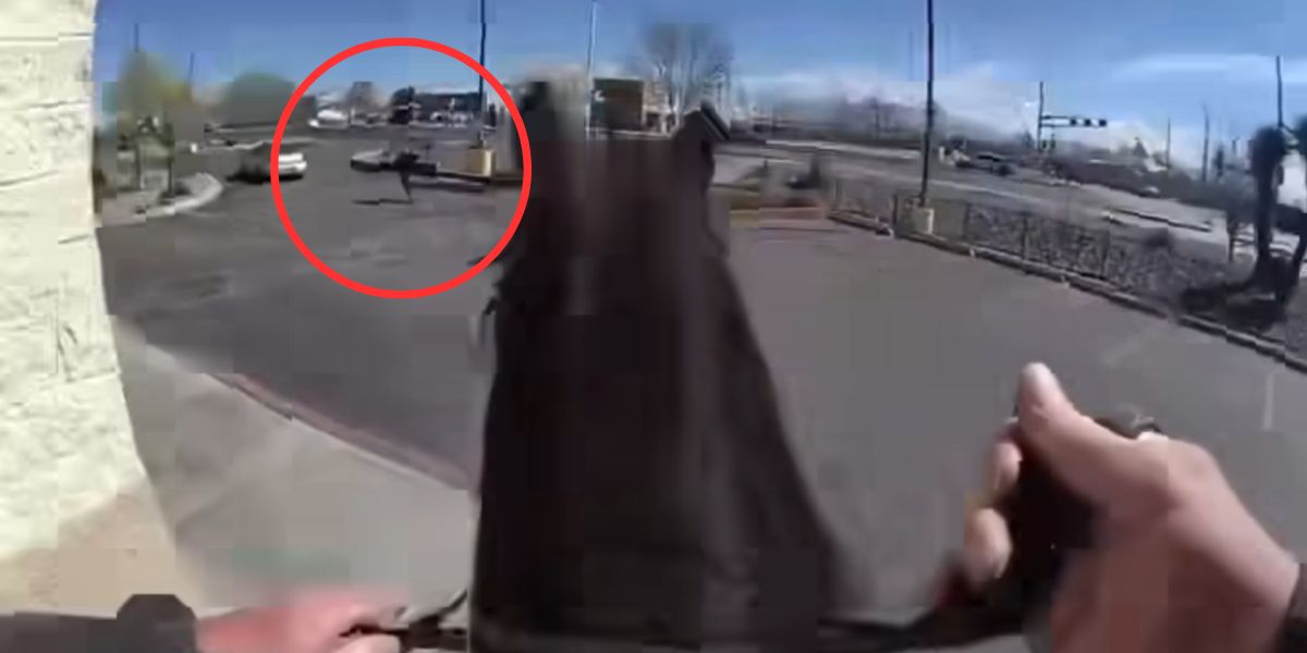 Poliziotto a cavallo insegue ladro nel Nuovo Messico in video pieno d'azione