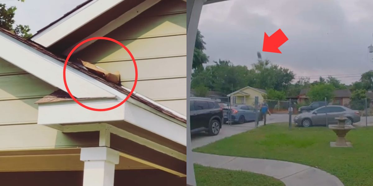 Vidéo incroyable : un livreur Amazon jette un colis sur le toit du client