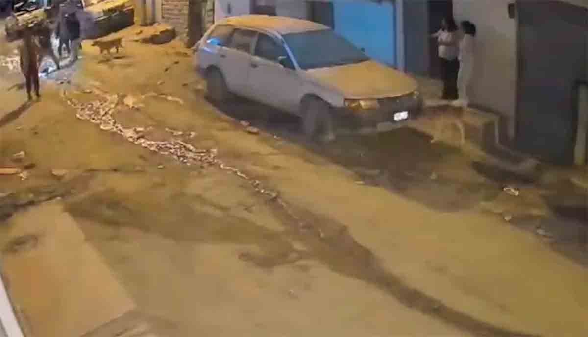Vidéo : des images montrent le tremblement de terre au Pérou qui a provoqué une alerte tsunami. Photo et vidéo : Twitter @OlimpoTanatos
