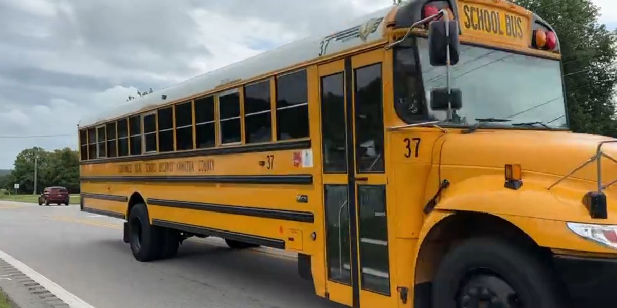 Curioso: Saiba por que os ônibus escolares são pintados de amarelo