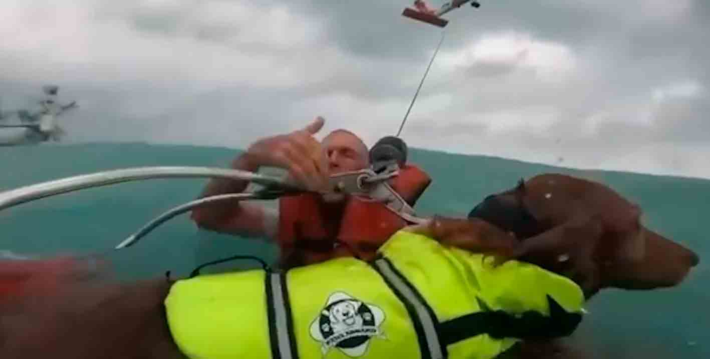 Man and dog rescued after Hurricane Helene destroys sailboat. Photo: X @USCGSoutheast