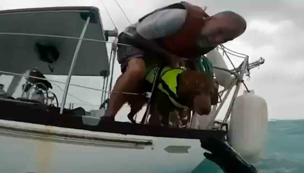 Homem e cachorro resgatados após furacão Helene destruir veleiro. Foto:X @USCGSoutheast