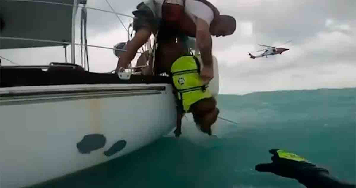 Homem e cachorro resgatados após furacão Helene destruir veleiro. Foto:X @USCGSoutheast