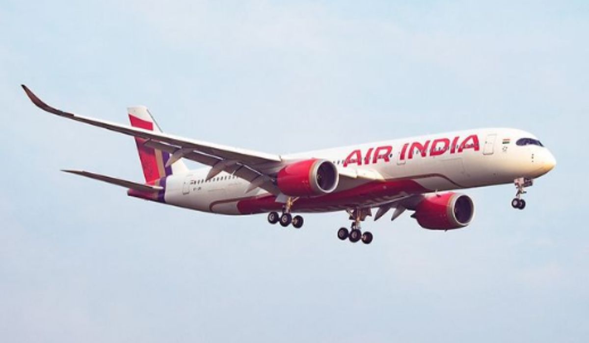 kakerlake air india