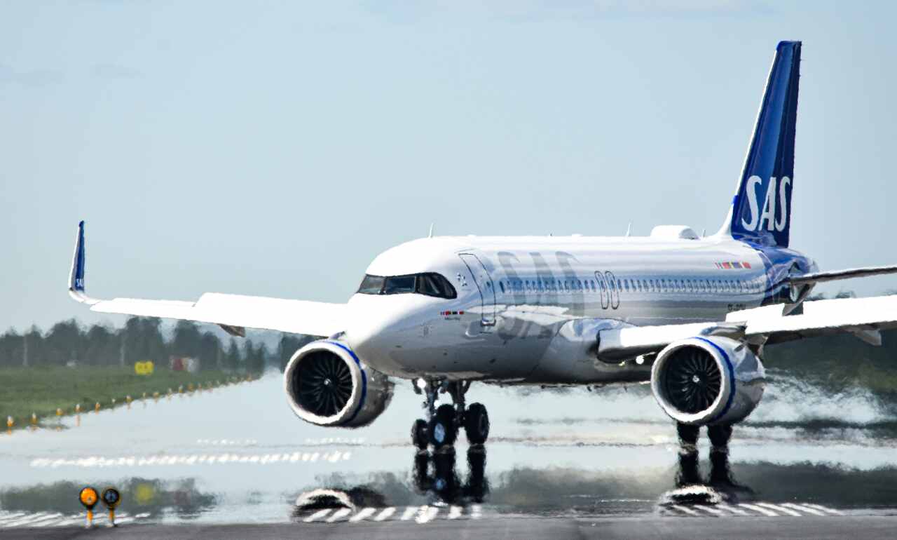 Scandinavian Airlines reageert nadat passagier een rat in het eten vond tijdens de vlucht