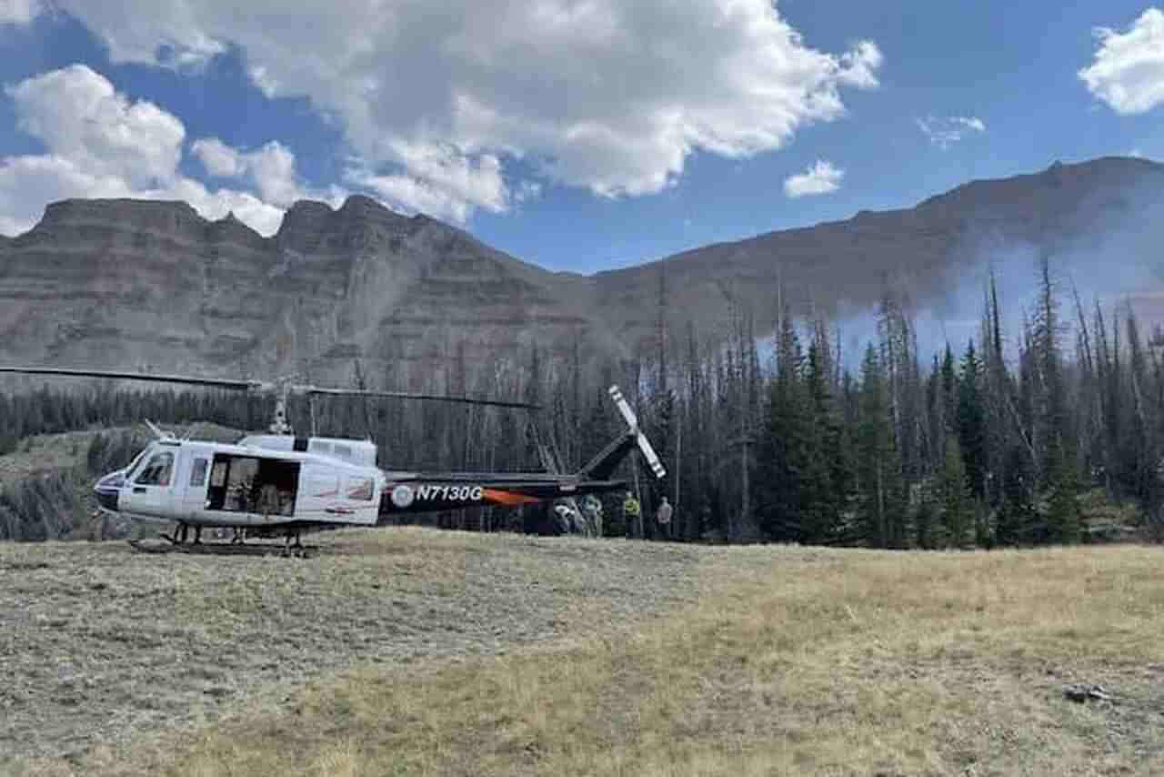 Caçadores encontram e salvam piloto após acidente de avião em floresta nos EUA