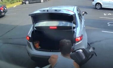 Wideo rejestruje komiczną próbę kradzieży motocykla przez zabawnych złodziei - sprawdź! (Reddit / IdiotsInCars)