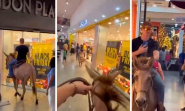 Vídeo engraçado mostra homem entrando em shopping montado em mula. Fotos e vídeo: X @lavemsinop