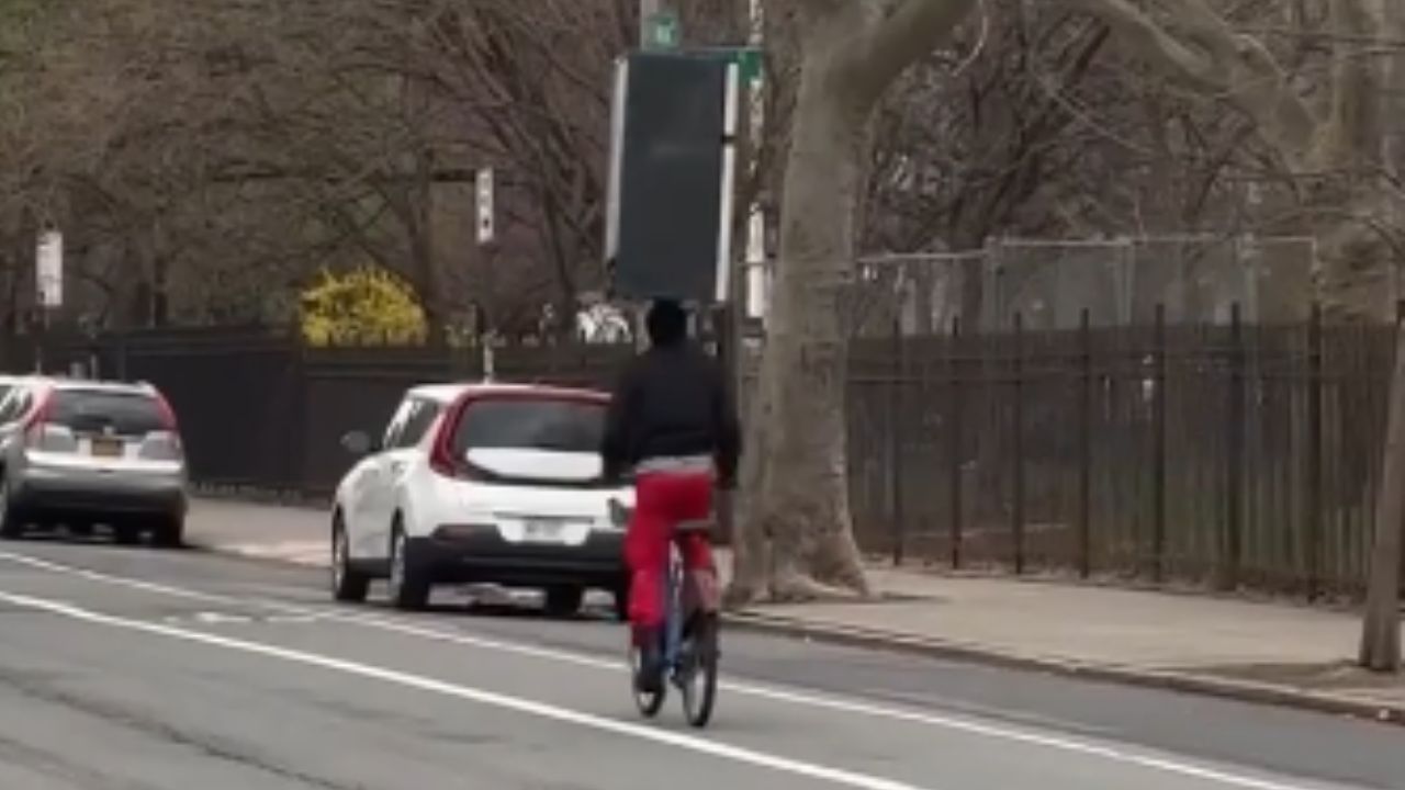 Ciclista de Nova York é flagrado andando de bicicleta com uma geladeira na cabeça
