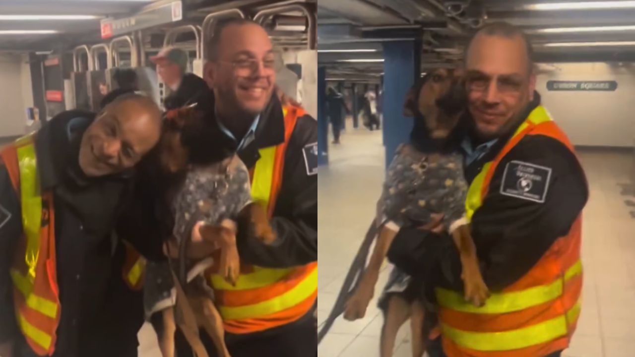 Dupla de seguranças do metrô de Nova York viraliza após receberem passageira calorosamente