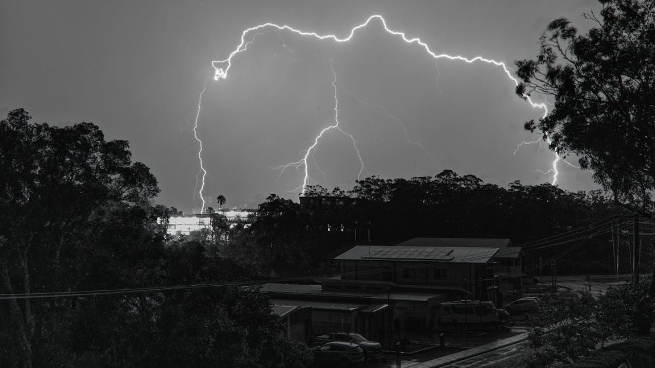 Father and son crushed by a tree while escaping a storm
