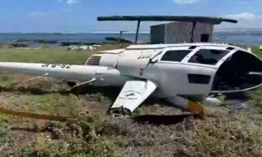 Pinguim solto causa queda de helicóptero na África do Sul