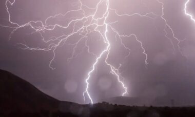 Pai e filho morrem esmagados por uma árvore enquanto fugiam de tempestade