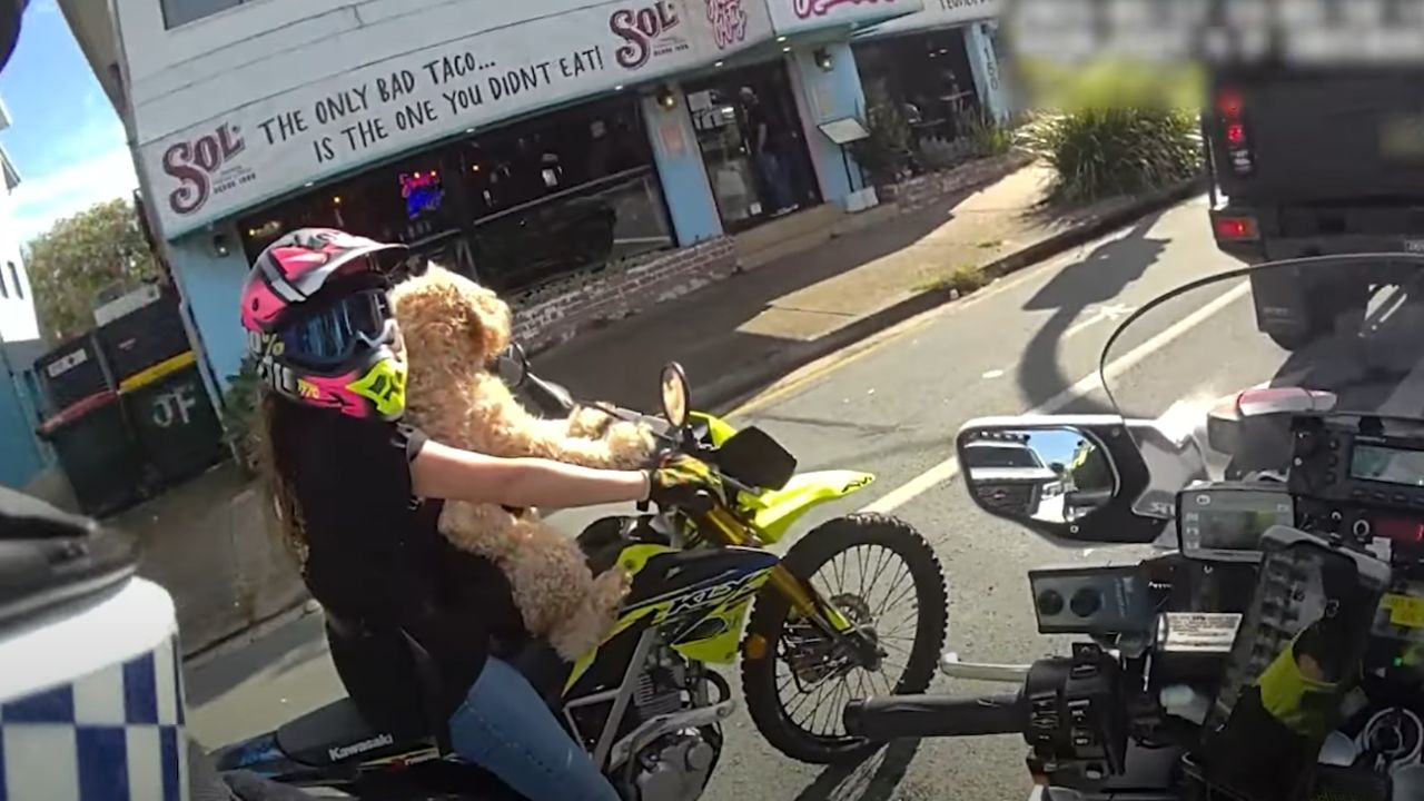O policial impõe cura para uma mulher que dirigia uma motocicleta com seu cachorro
