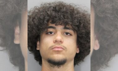 Adolescente de 18 anos atira em homem que teria chutado e pulado seu Tesla
