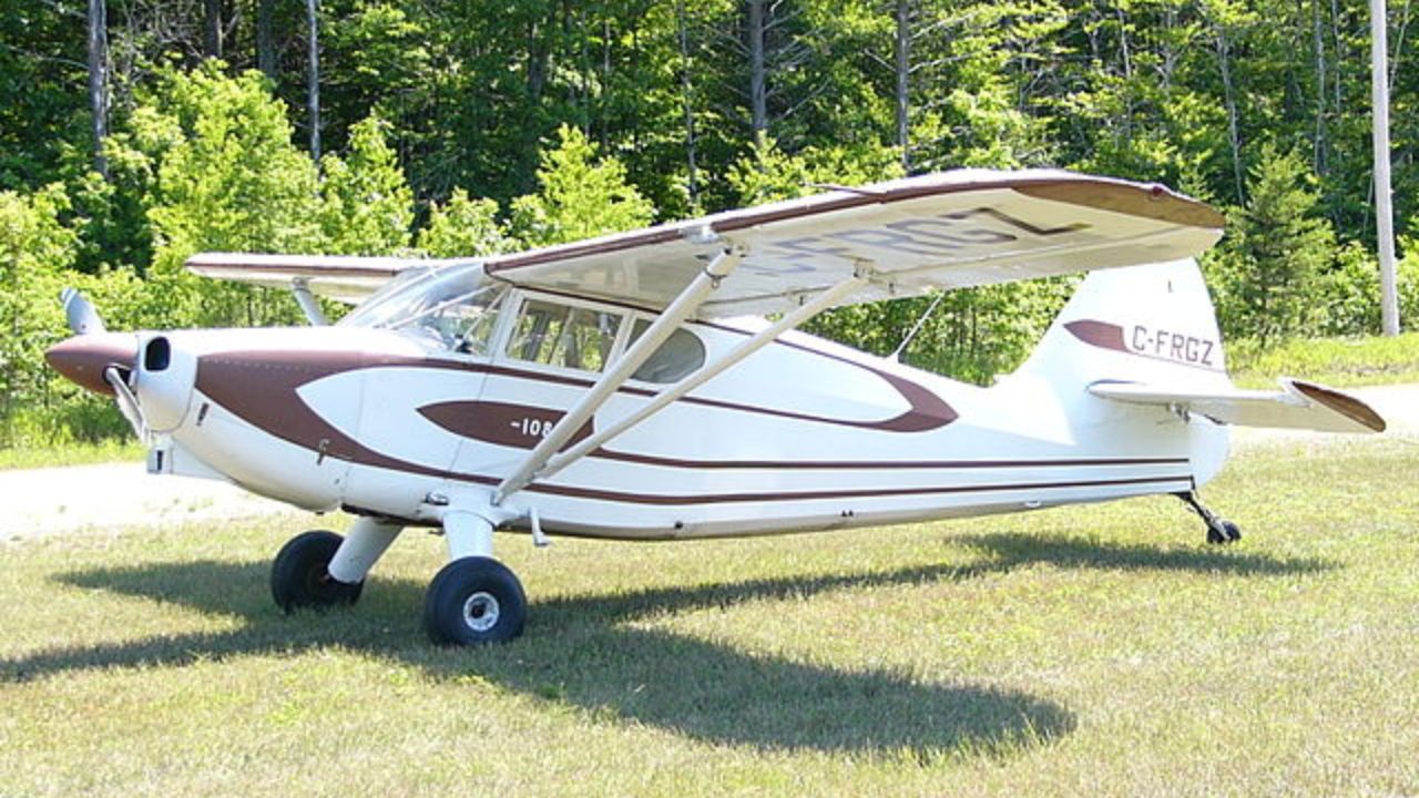 Pilot dies in fatal accident moments after swerving to avoid a turtle