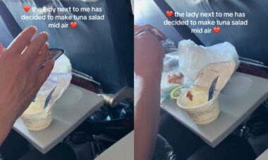Passageira choca internet após comer lanche com aroma duvidoso em avião