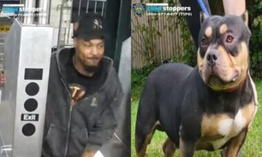 Homem rouba cachorro de passageiro que estava dormindo no metrô de Nova York