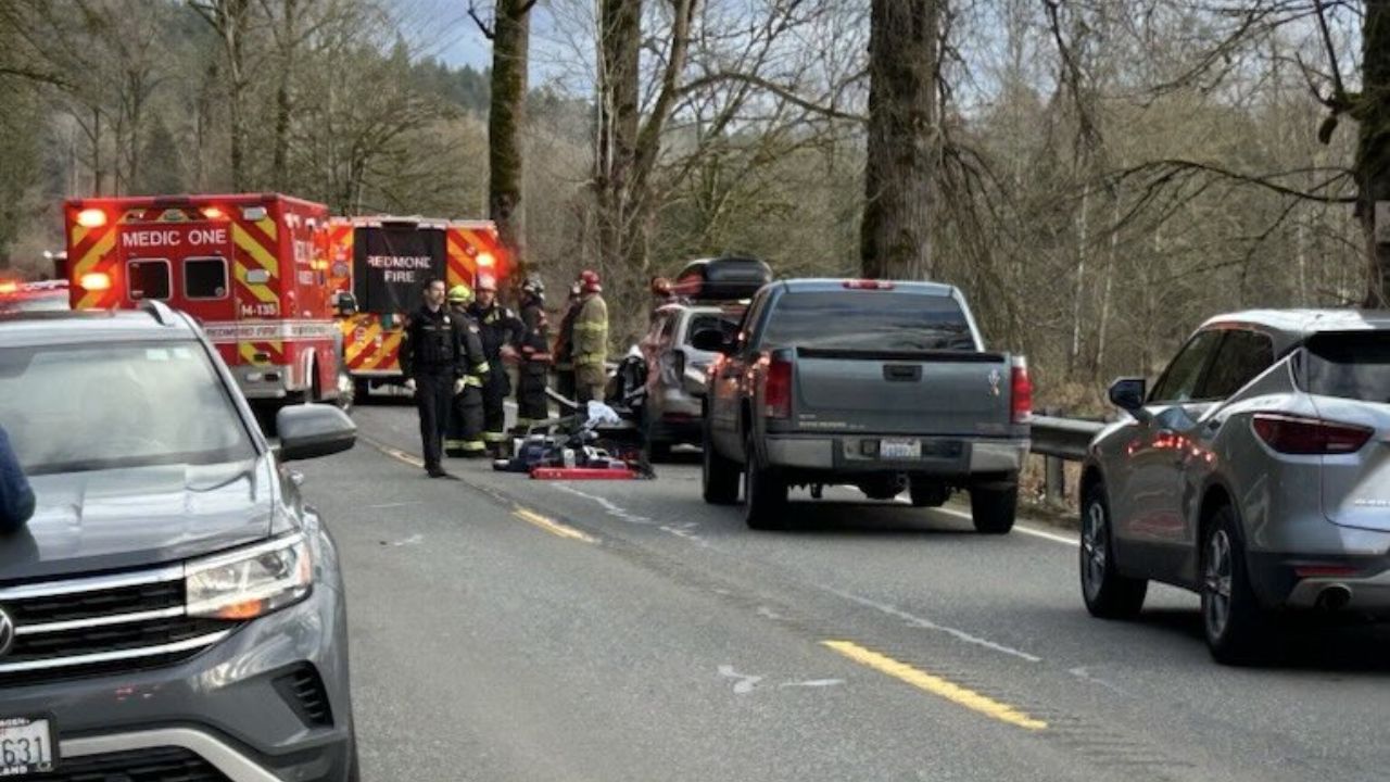 Mulher de 44 anos morre após queda de árvore em estrada no estado de Washington