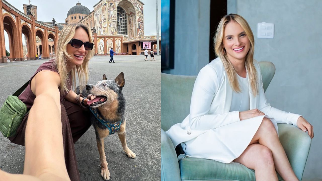 Engenheira morre em acidente em rodovia no Brasil e seu cachorro fica ao lado até o corpo ser retirado